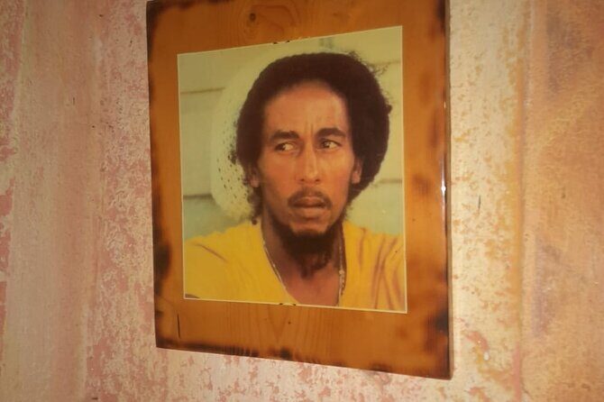 Private Bob Marley 9 Mile& Dunns River Adventures Fr. Montego Bay - Who Should Consider This Tour?