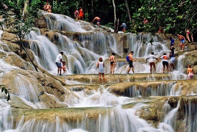 Private Bob Marley 9 mile & DunnsRiverFalls Tour from Montego Bay - Transportation & Comfort
