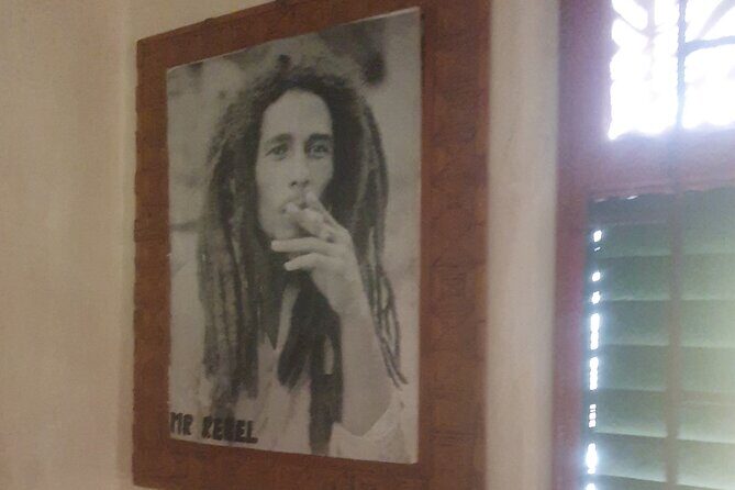 Private Bob Marley 9 Miles / Duns River fall entry fee includes - Introduction: A Tour That Packs a Punch