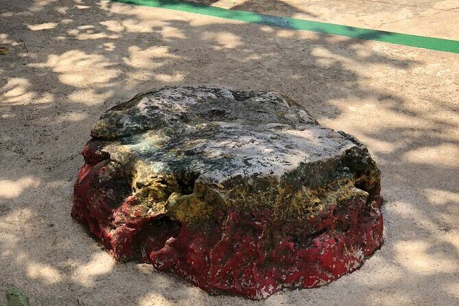 Private Bob Marley Mausoleum Tour in Nine Mile - Final Thoughts