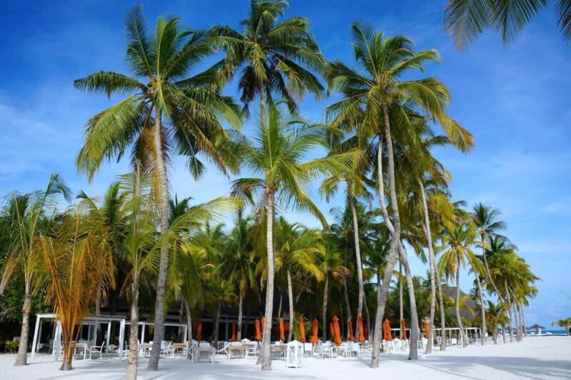 Private: Boca Chica to Saona Island Full-Day Cruise - What to Expect on the Cruise