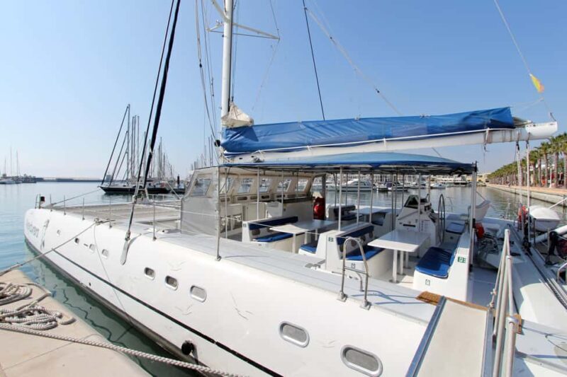 Private: Boca Chica to Saona Island Full-Day Cruise - Who Would Love This Experience?