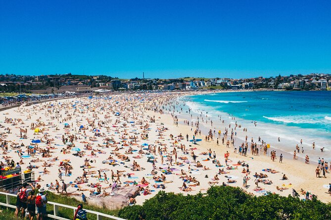 PRIVATE Bondi Beach, Opera House & Harbour Bridge and Sydney City - Insiders Guide to Bondi Beach