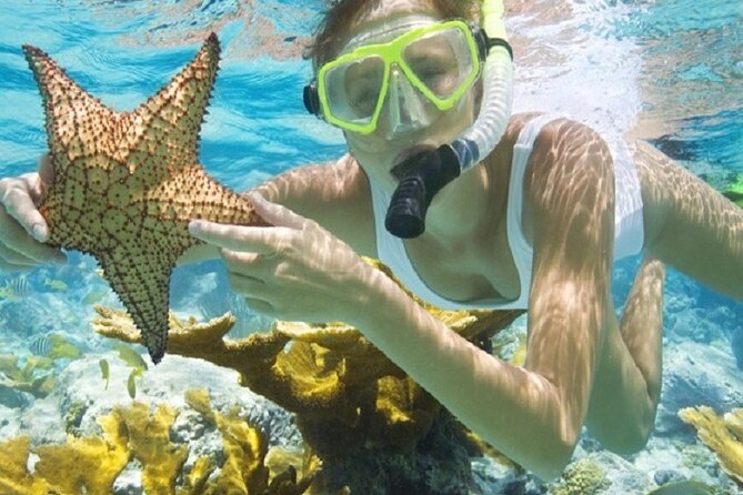 Private Boonze Cruise and Snorkeling at Punta Cana - Pricing and Booking Details
