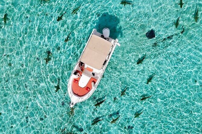 Private Bora Bora Lagoon Experience - The Sum Up