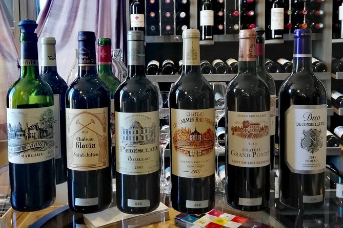 Private Bordeaux Wine Tasting Tour From San Sebastián  - San Sebastian - Tour Highlights