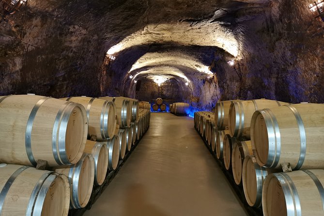 Private Bordeaux Wine Tasting Tour From San Sebastián  - San Sebastian - Customer Reviews and Ratings