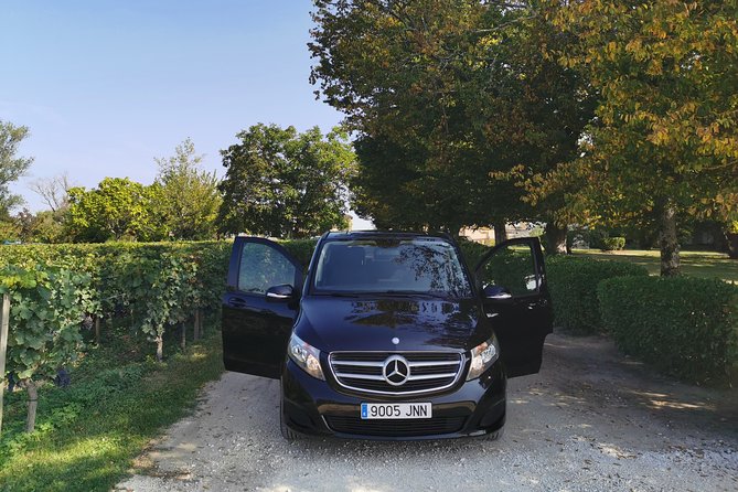 Private Bordeaux Wine Tasting Tour From San Sebastián  - San Sebastian - The Sum Up