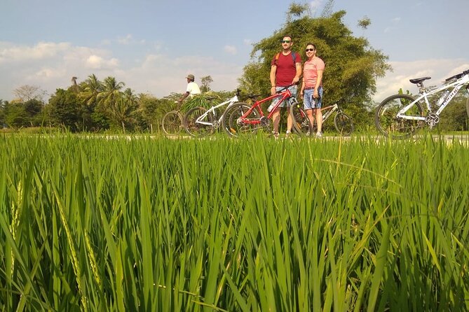 Private Borobudur Village Tour by Bike - Inclusions and Exclusions
