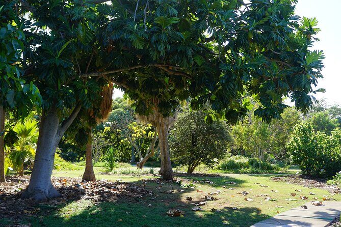 Private Botanical Garden Experience in the Heart of Maui - The Value of This Experience