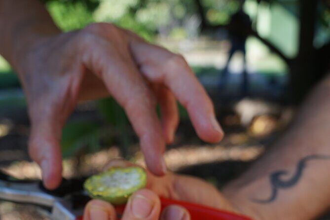 Private Botanical Garden Experience in the Heart of Maui - The Experience Breakdown