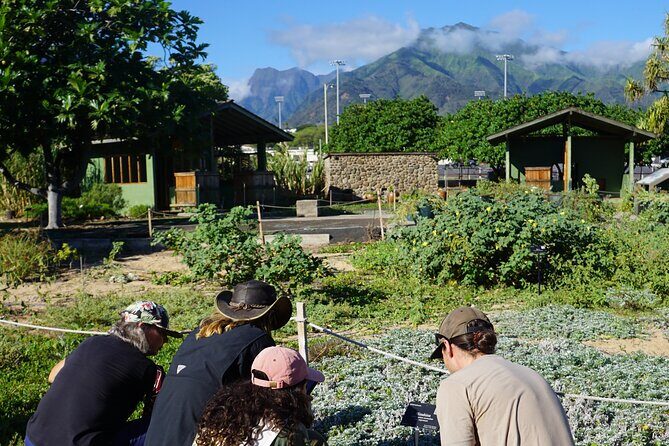Private Botanical Garden Experience in the Heart of Maui - The Sum Up