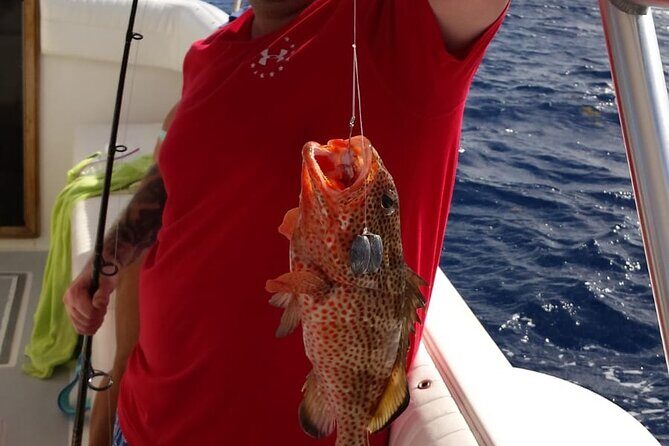 Private Bottom Fishing Charter 1/2 day morning on "Shady Grady" - The Value of This Private Fishing Trip