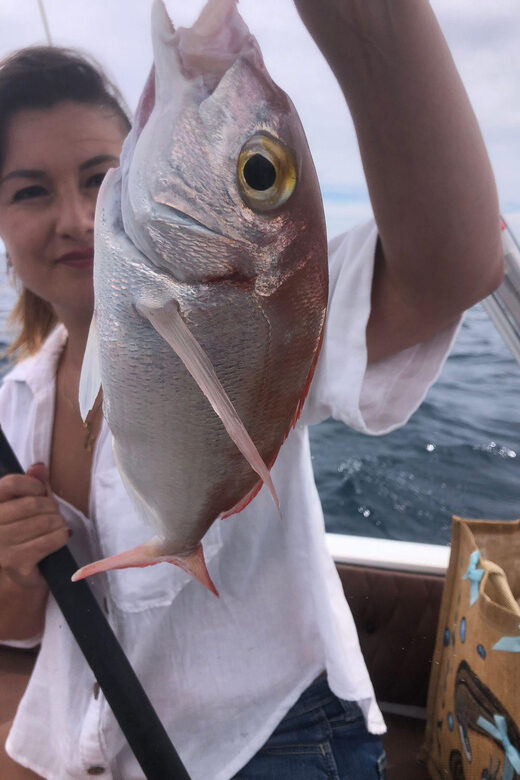 PRIVATE BOTTOM FISHING IN FUENGIROLA FOR 3 HOURS - The Sum Up