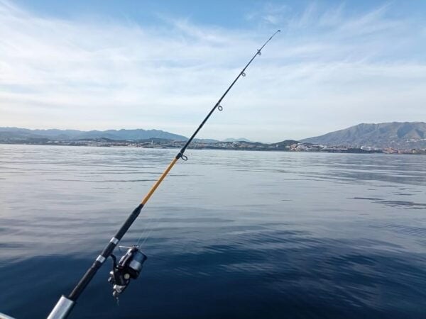 Private Bottom Fishing Trip in Fuengirola - Booking and Cancellation Policy