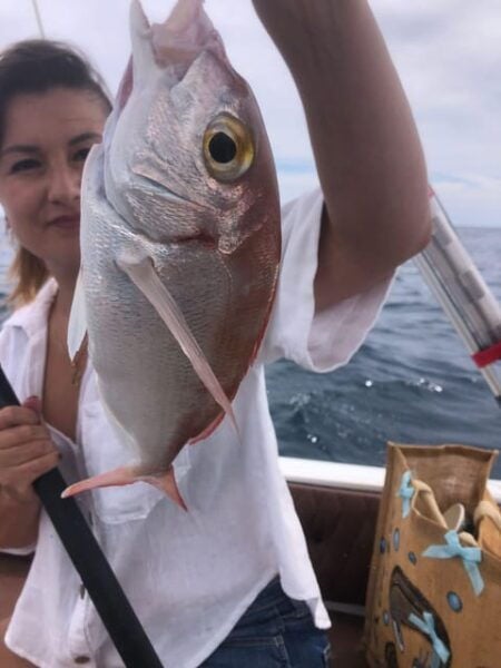 Private Bottom Fishing Trip in Fuengirola - Fishing Techniques and Catches