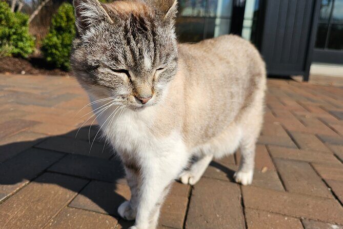 Private Bourbon Trail Transportation Package | Bardstown Region - Who Will Love This Tour?