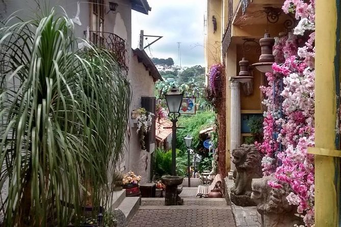 Private Brazilian Art Tour Experience Embu Das Artes City of Arts - São Paulo - Traveler Experience