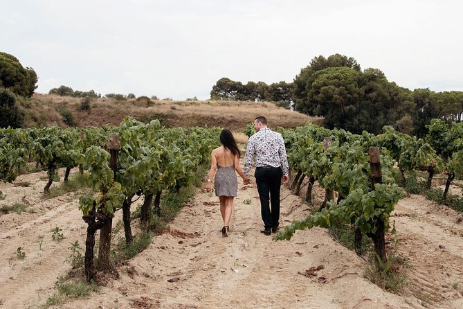 Private Breakfast Winery Experience - Private Wine Tasting Tour - The Sum Up