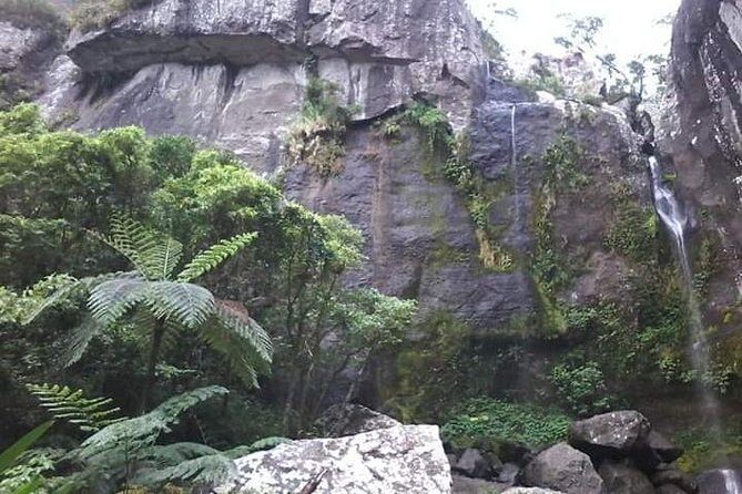 Private Breathtaking Koroyanitu Half Day Waterfall Hike - FAQs