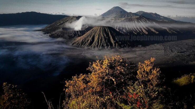 Private Bromo Tour Start From Malang - 1D - Itinerary Overview