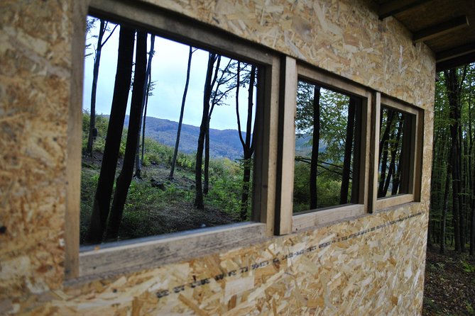 Private Brown Bear Watching Tour 40 Km Drive From Sighisoara - Additional Guidelines