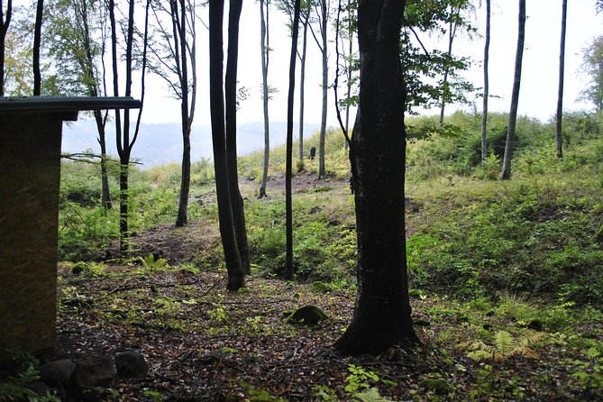 Private Brown Bear Watching Tour 40 Km Drive From Sighisoara - Cancellation Policy