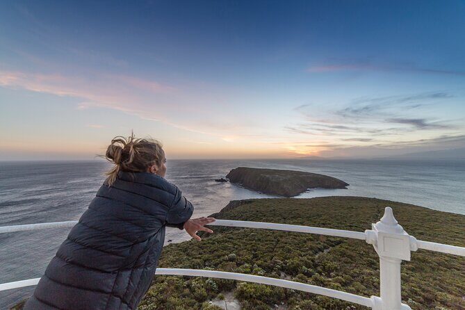 Private Bruny Island Wine, Food,Sightseeing & Lighthouse Day Tour - Final Thoughts