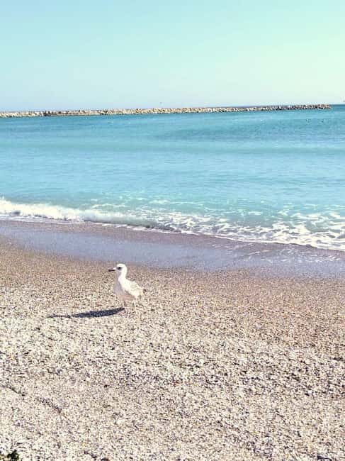 Private Bucharest Tour: Discover Constana & Black Sea Coast - Who Should Consider This Tour?