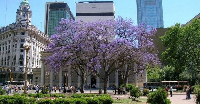 Private Buenos Aires City Tour From Cruise Terminal - Overview and Itinerary
