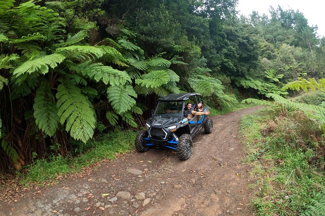 Private Buggy Off-Road Tour - Booking and Confirmation Process