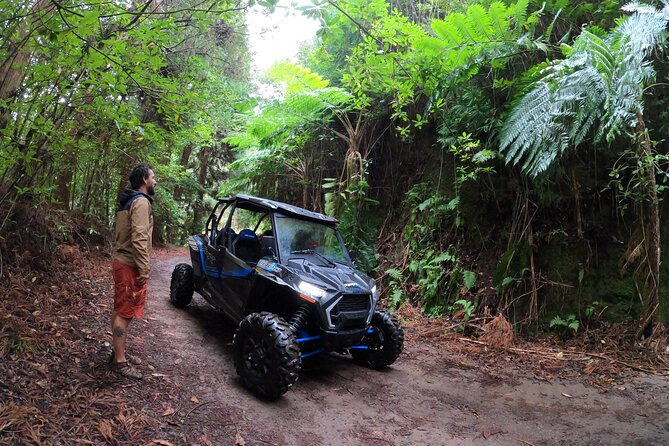 Private Buggy Off-Road Tour - Important Considerations for Participants