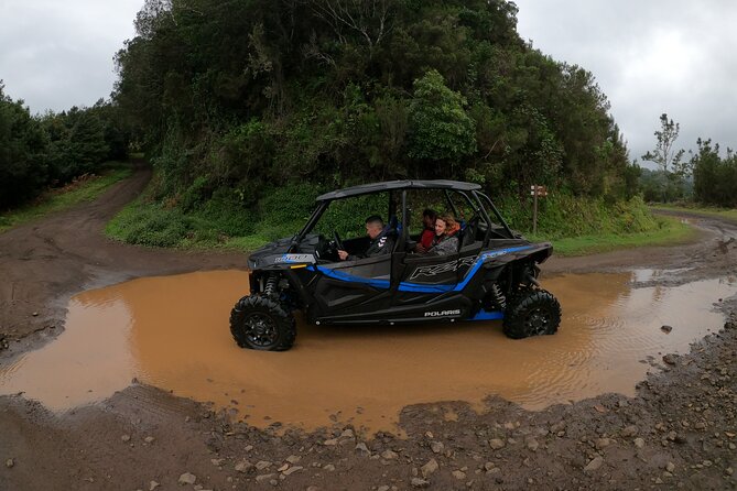 Private Buggy Off-Road Tour - The Sum Up