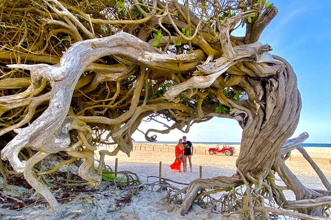 Private Buggy Tour Along the East Coast of Jericoacoara - Tour Inclusions