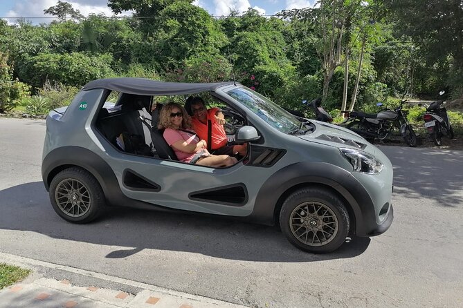 Private Buggy Tour and Punta Sur Park: All-Inclusive - Price and Copyright Information