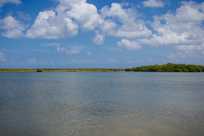 Private Buggy Tour and Punta Sur Park in Cozumel: All-Inclusive - Tour Details and Logistics