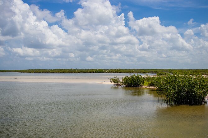 Private Buggy Tour and Punta Sur Park in Cozumel: All-Inclusive - Review 2 by Hitesh_P (Dec 2023)