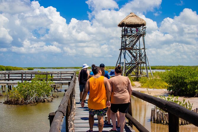 Private Buggy Tour and Punta Sur Park in Cozumel: All-Inclusive - Viator Help Center