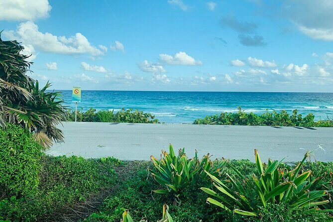 Private Buggy Tour in Cozumel, Snorkel & Lunch: All Inclusive - Final Thoughts: Is This Tour for You?