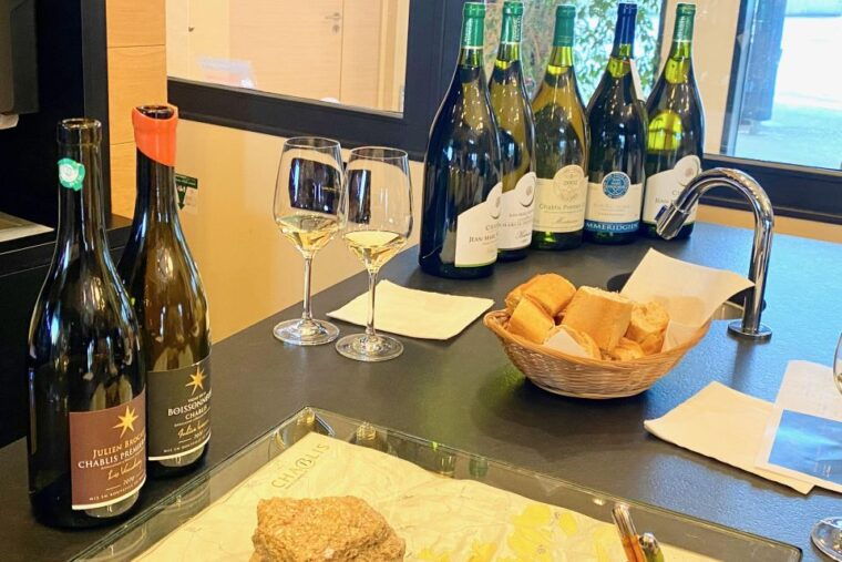 Private Burgundy 4 Domains 20 Chablis Wines Caves From Paris - Exclusive Wine Tastings at Renowned Domains