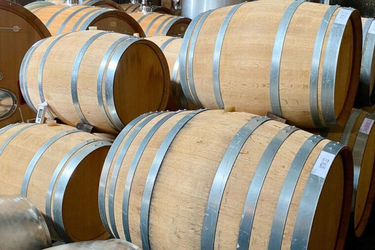Private Burgundy 4 Domains 20 Chablis Wines Caves From Paris - Guided Tours of Chablis Wine Estates