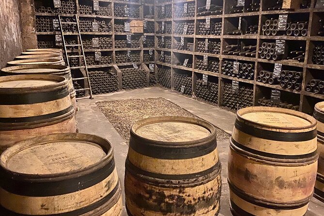 Private Burgundy 4 Domains 20 Chablis Wines Tasting From Paris - Overview and Inclusions