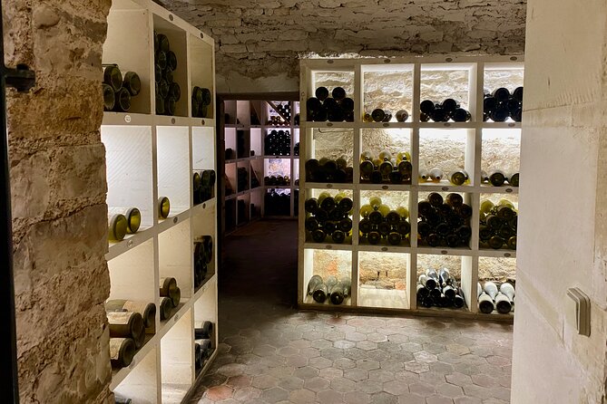 Private Burgundy 4 Domains 20 Chablis Wines Tasting From Paris - Tasting and Explanations at Maison Régnard Chablis