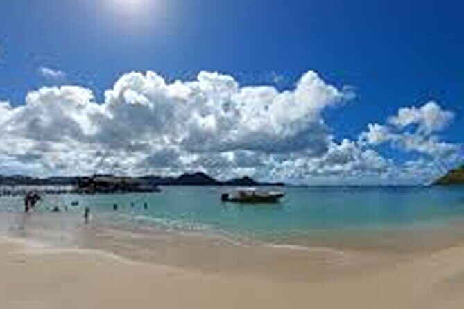 Private Bus and Walking Tour of St Lucia - Practical Details & What to Expect