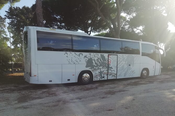 Private Bus Civitavecchia Cruise Port to Rome Hotels - Booking Process