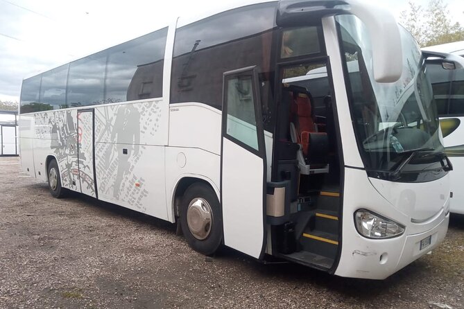 Private Bus From Chioggia Cruise Port to Venice Airport (Vce) - Good To Know