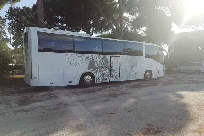 Private Bus From Chioggia Cruise Port to Venice Hotels+Water Taxi - What To Expect