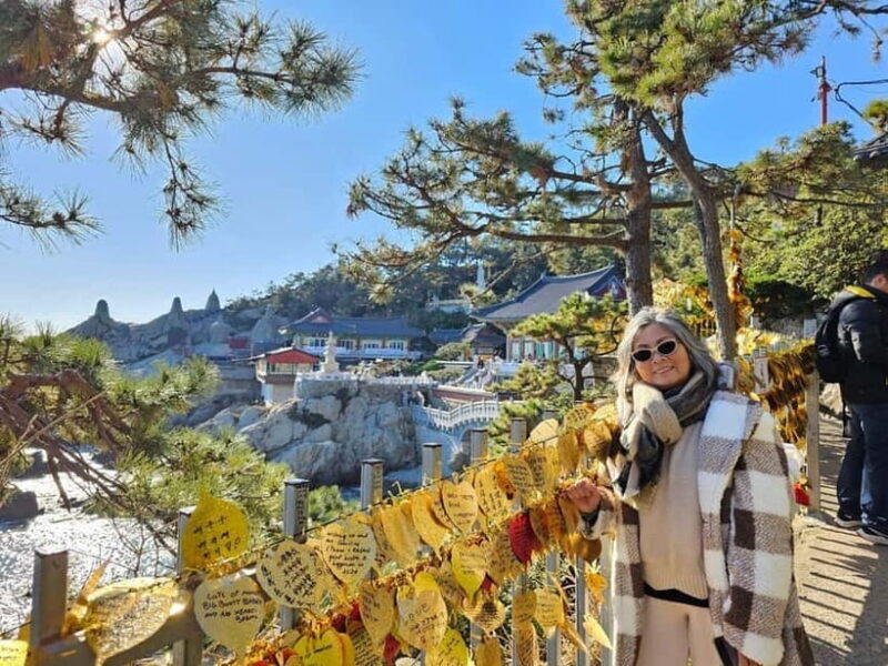 Private Busan Tour  Discover Top Sights with a Local Guide - Final Thoughts