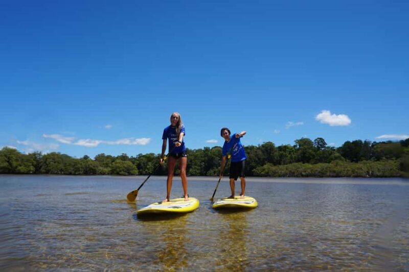 Private Byron Bay: 2-Hour Stand Up Paddle Board Nature Tour - Good To Know