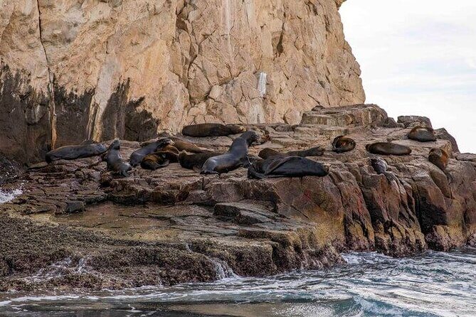 Private Cabo San Lucas City Tour - FAQ